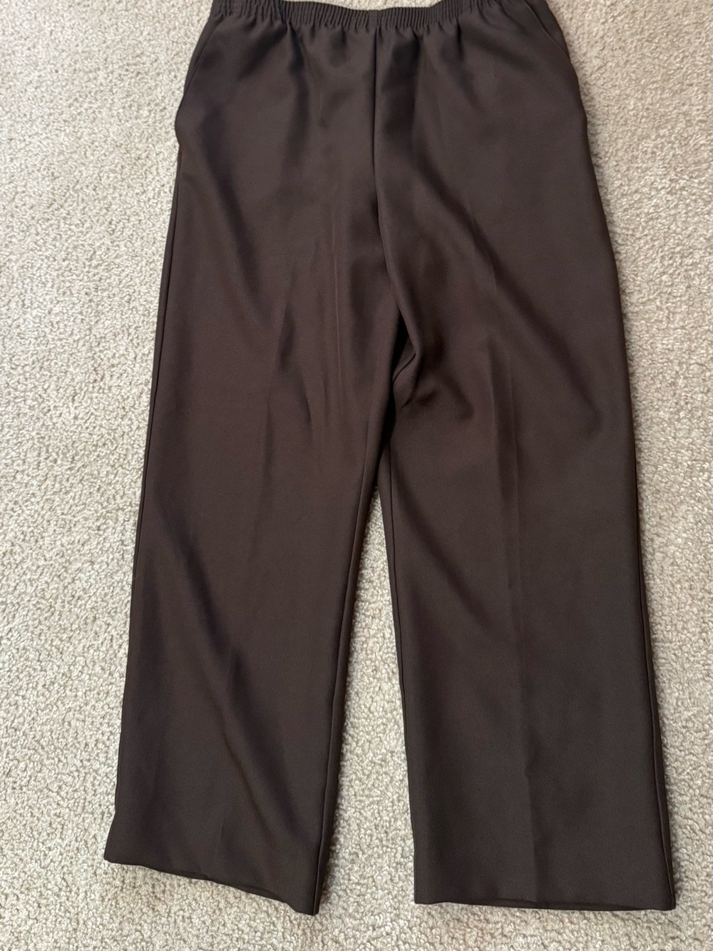 Alfred Dunner women Chocolate Brown Pull-On Petite Pants